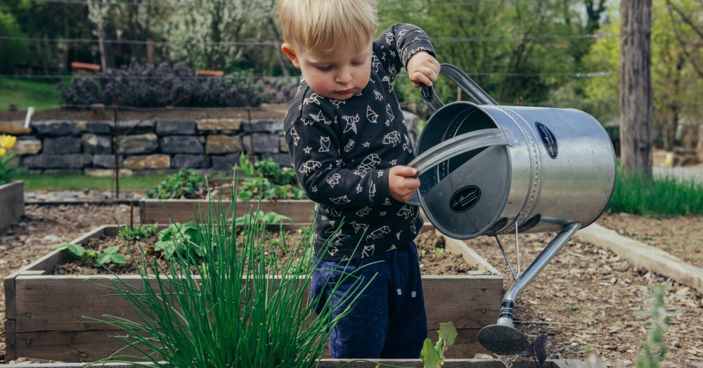 Spring into action and make sure that your garden looks the best for Summer with this to-do list.