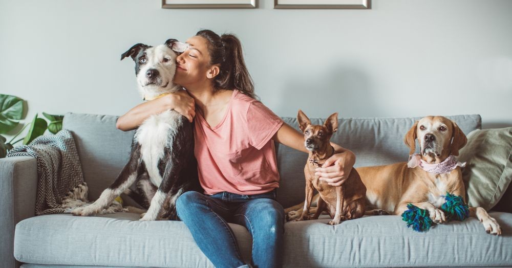Are you a homeowner with pets and planning to sell your property?