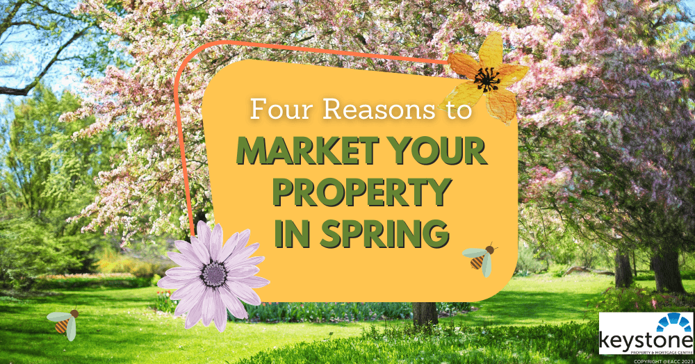 Four Reasons to Market Your Flintshire Property in Spring Four Reasons to Market Your Flintshire Property in Spring