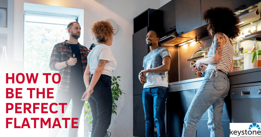 How to Be the Perfect Flintshire Flatmate 🌟 How to Be the Perfect Flintshire Flatmate 🌟