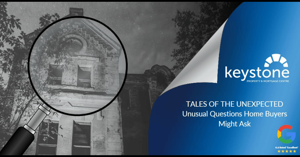 Tales of the Unexpected: Unusual Questions Home Buyers Might Ask🔍 Tales of the Unexpected: Unusual Questions Home Buyers Might Ask🔍